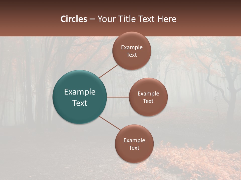 A Foggy Forest With Trees And Leaves On The Ground PowerPoint Template