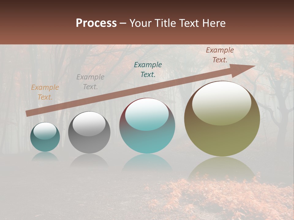 A Foggy Forest With Trees And Leaves On The Ground PowerPoint Template