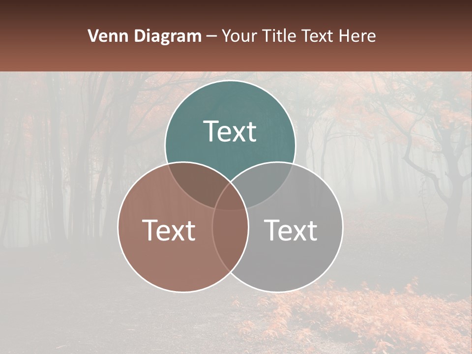 A Foggy Forest With Trees And Leaves On The Ground PowerPoint Template
