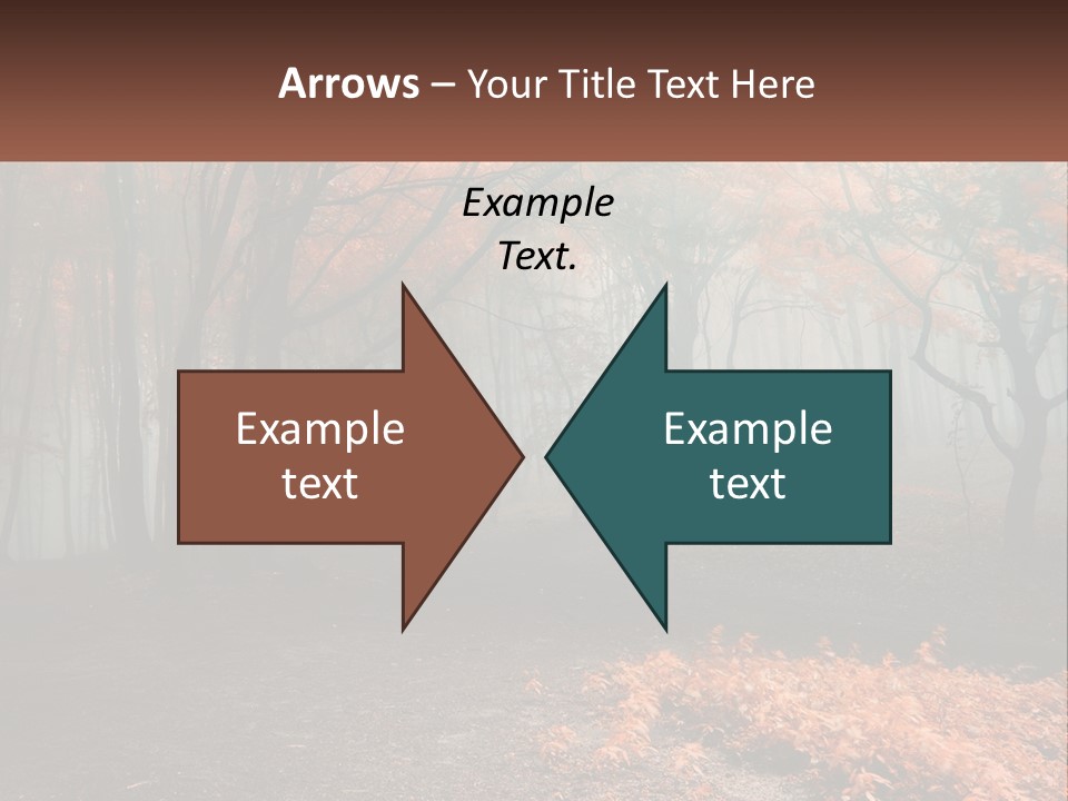 A Foggy Forest With Trees And Leaves On The Ground PowerPoint Template