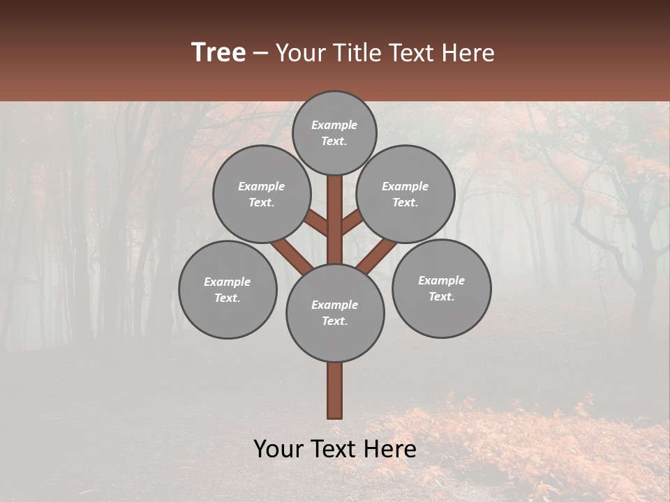 A Foggy Forest With Trees And Leaves On The Ground PowerPoint Template