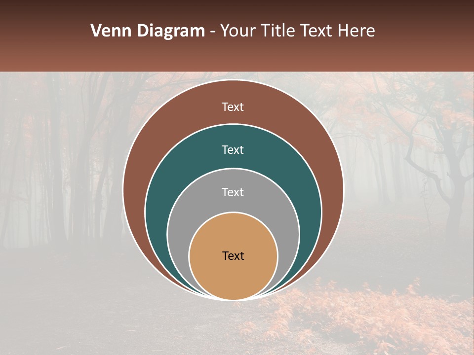 A Foggy Forest With Trees And Leaves On The Ground PowerPoint Template