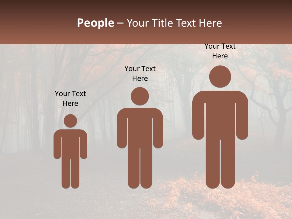 A Foggy Forest With Trees And Leaves On The Ground PowerPoint Template