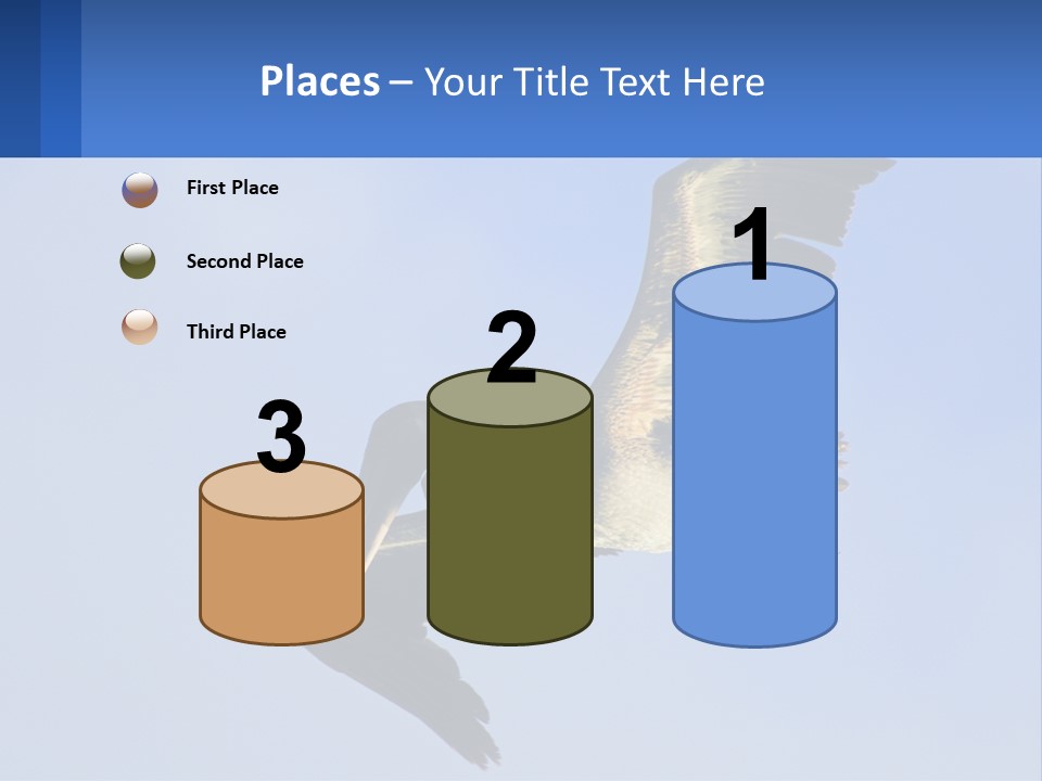 A Pelican Flying Through The Air With A Blue Sky In The Background PowerPoint Template