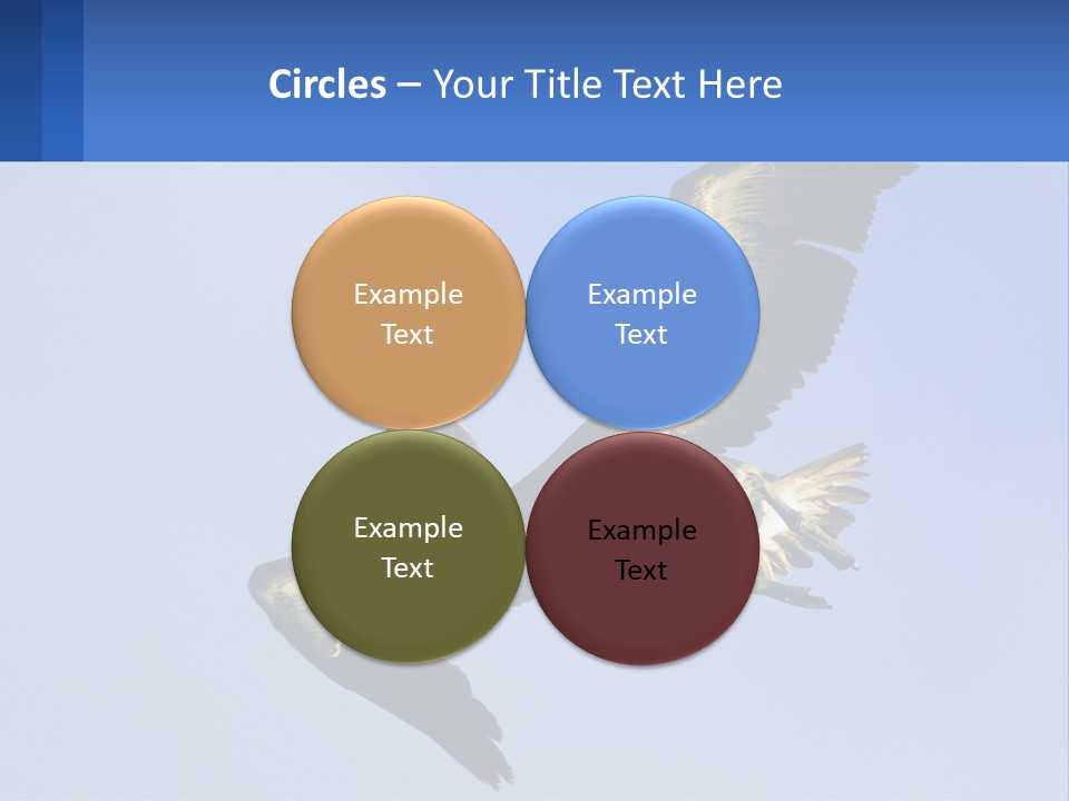 A Pelican Flying Through The Air With A Blue Sky In The Background PowerPoint Template