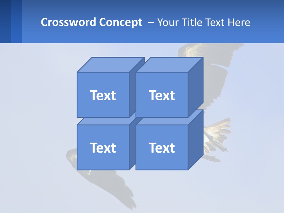 A Pelican Flying Through The Air With A Blue Sky In The Background PowerPoint Template