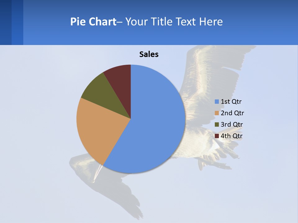 A Pelican Flying Through The Air With A Blue Sky In The Background PowerPoint Template