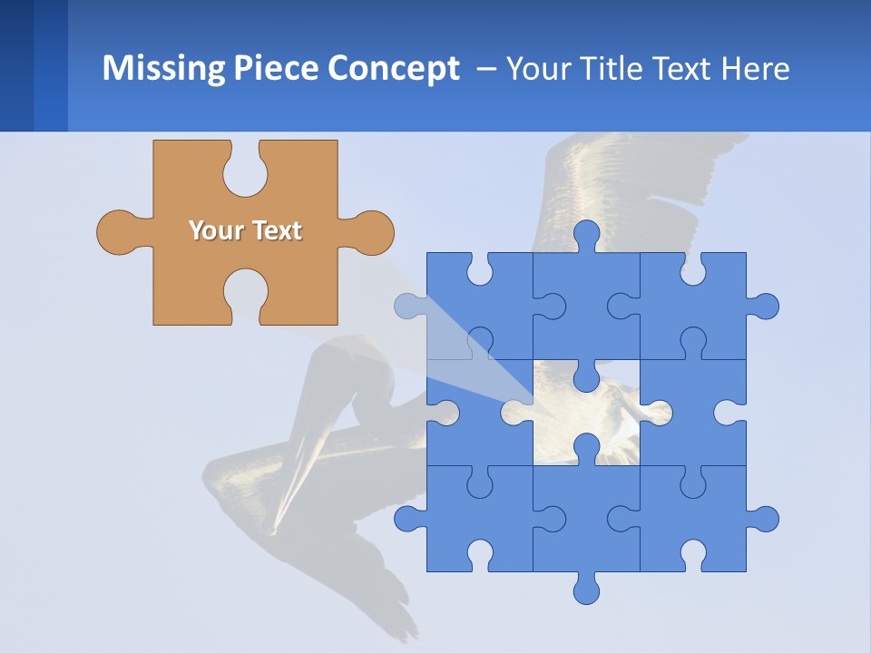 A Pelican Flying Through The Air With A Blue Sky In The Background PowerPoint Template