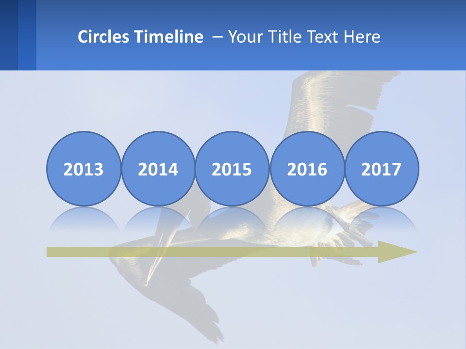 A Pelican Flying Through The Air With A Blue Sky In The Background PowerPoint Template