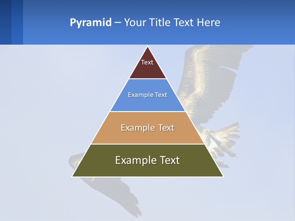 A Pelican Flying Through The Air With A Blue Sky In The Background PowerPoint Template