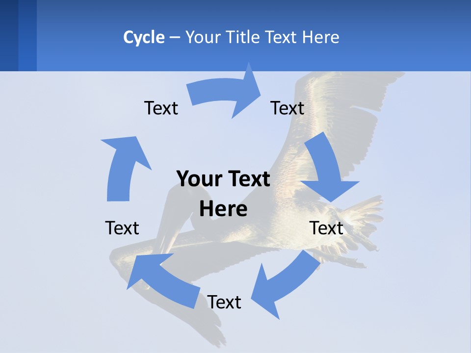 A Pelican Flying Through The Air With A Blue Sky In The Background PowerPoint Template