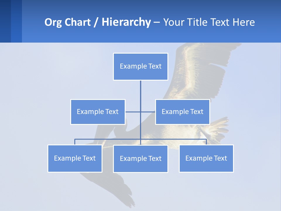 A Pelican Flying Through The Air With A Blue Sky In The Background PowerPoint Template