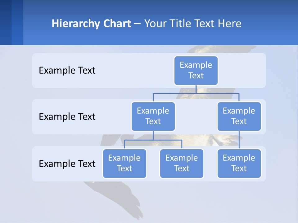 A Pelican Flying Through The Air With A Blue Sky In The Background PowerPoint Template