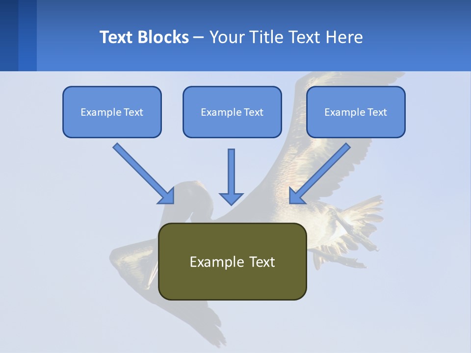 A Pelican Flying Through The Air With A Blue Sky In The Background PowerPoint Template