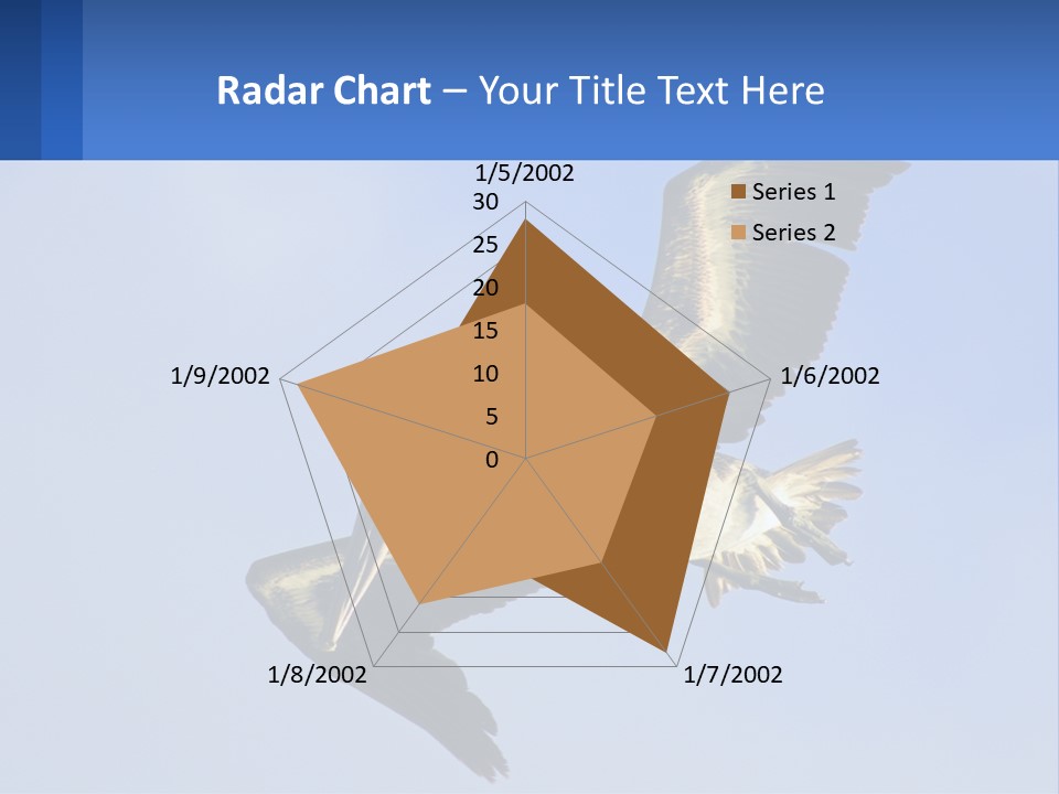 A Pelican Flying Through The Air With A Blue Sky In The Background PowerPoint Template