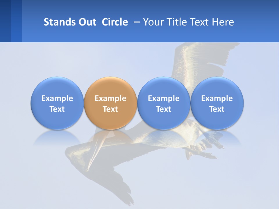 A Pelican Flying Through The Air With A Blue Sky In The Background PowerPoint Template