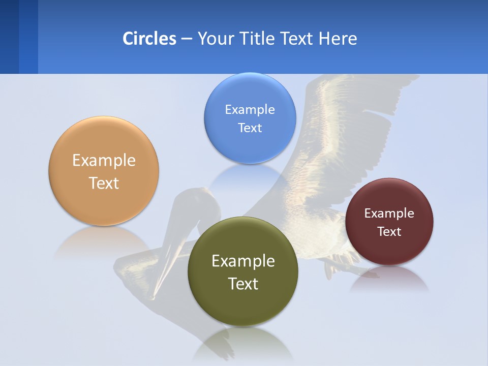 A Pelican Flying Through The Air With A Blue Sky In The Background PowerPoint Template