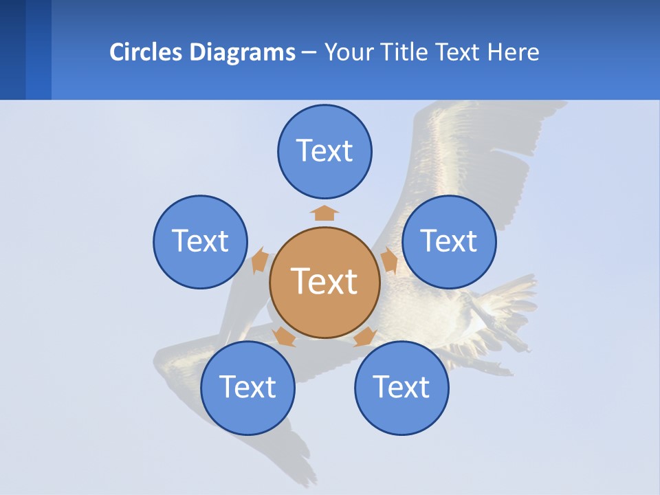 A Pelican Flying Through The Air With A Blue Sky In The Background PowerPoint Template