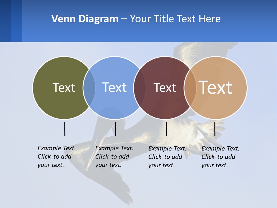 A Pelican Flying Through The Air With A Blue Sky In The Background PowerPoint Template