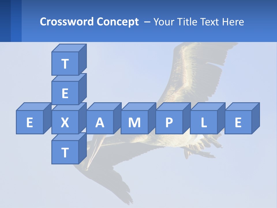 A Pelican Flying Through The Air With A Blue Sky In The Background PowerPoint Template