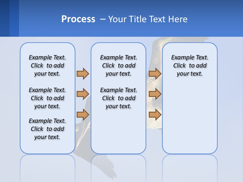 A Pelican Flying Through The Air With A Blue Sky In The Background PowerPoint Template