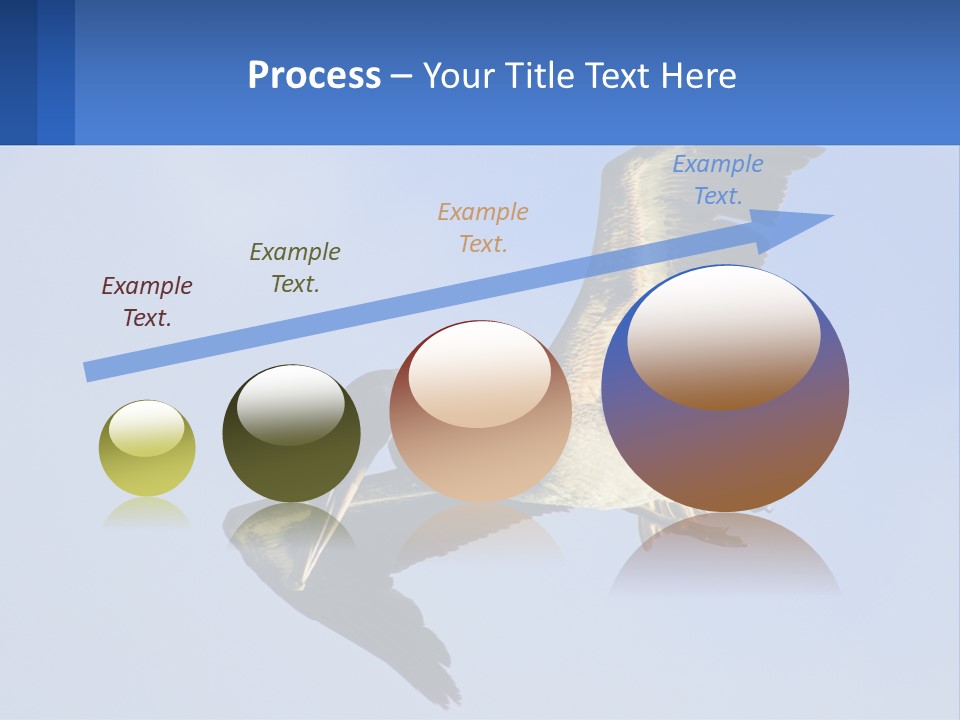 A Pelican Flying Through The Air With A Blue Sky In The Background PowerPoint Template