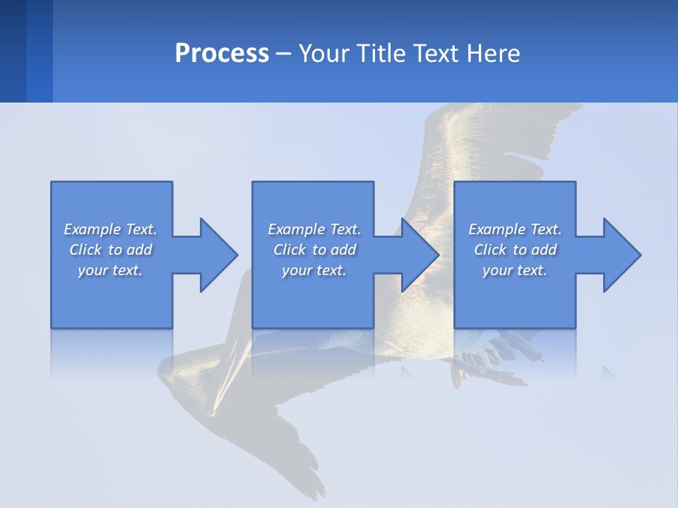 A Pelican Flying Through The Air With A Blue Sky In The Background PowerPoint Template