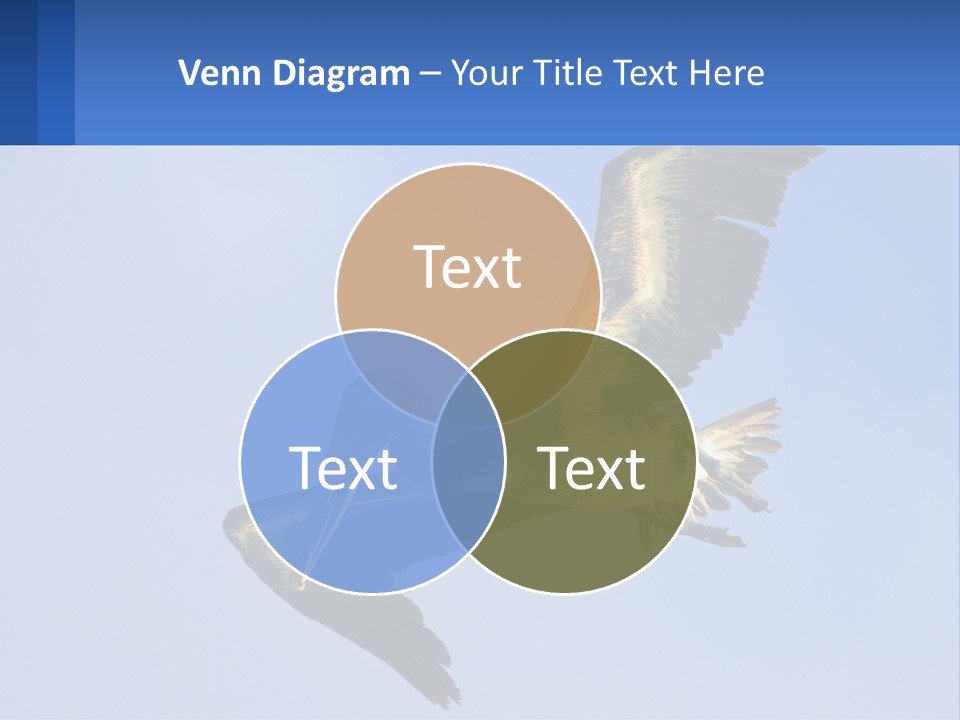 A Pelican Flying Through The Air With A Blue Sky In The Background PowerPoint Template