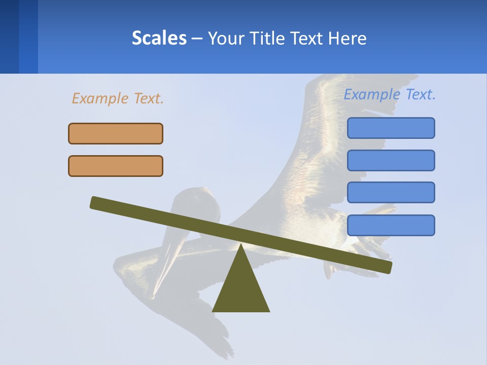 A Pelican Flying Through The Air With A Blue Sky In The Background PowerPoint Template