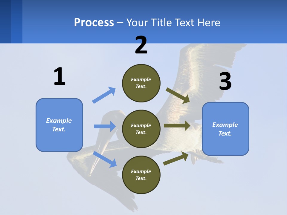 A Pelican Flying Through The Air With A Blue Sky In The Background PowerPoint Template