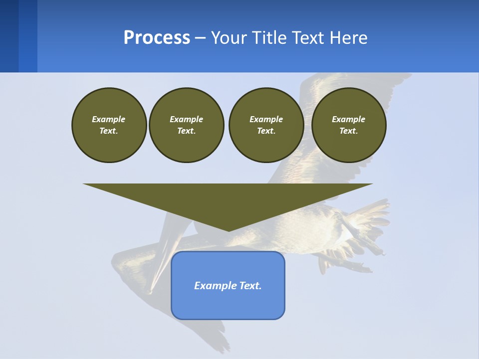 A Pelican Flying Through The Air With A Blue Sky In The Background PowerPoint Template