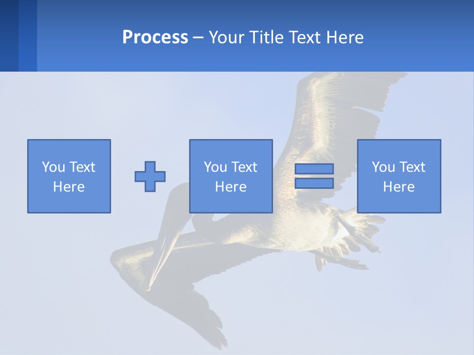 A Pelican Flying Through The Air With A Blue Sky In The Background PowerPoint Template