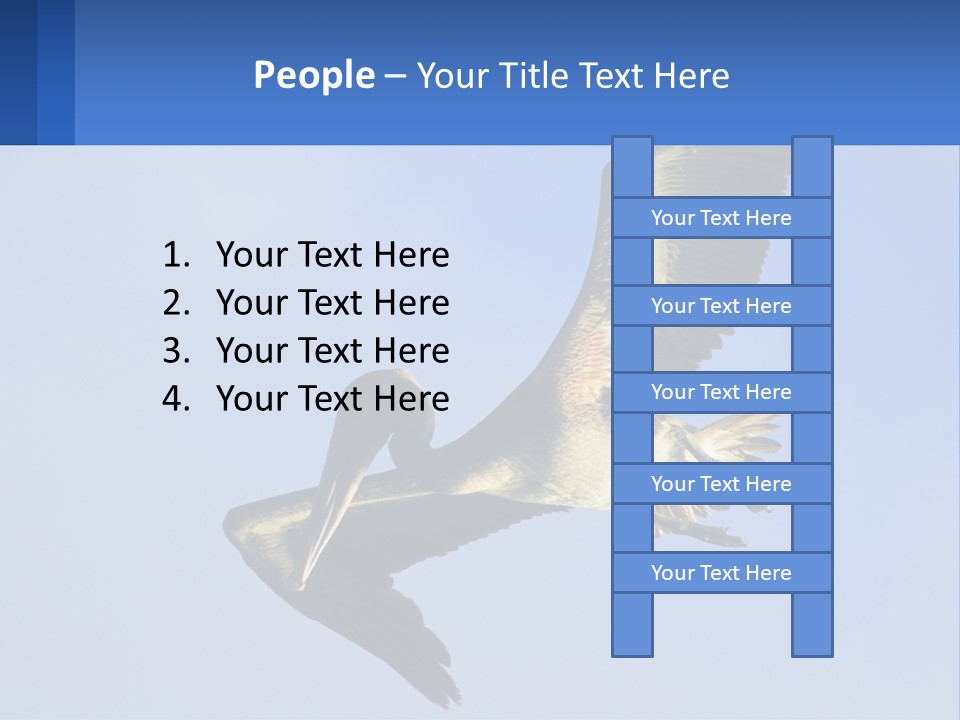 A Pelican Flying Through The Air With A Blue Sky In The Background PowerPoint Template