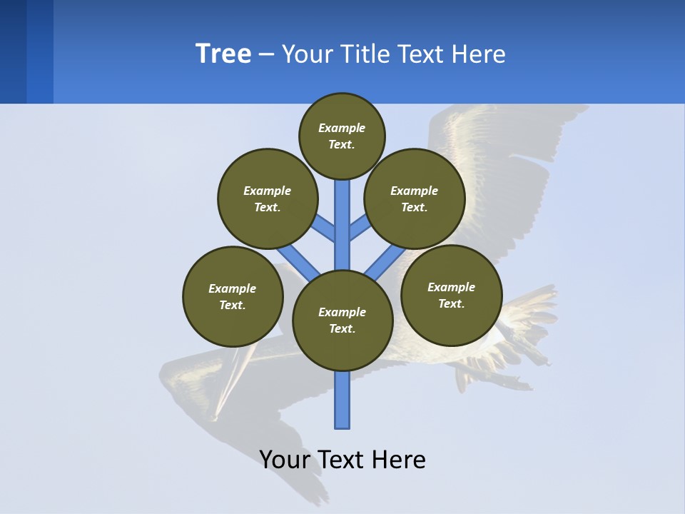 A Pelican Flying Through The Air With A Blue Sky In The Background PowerPoint Template