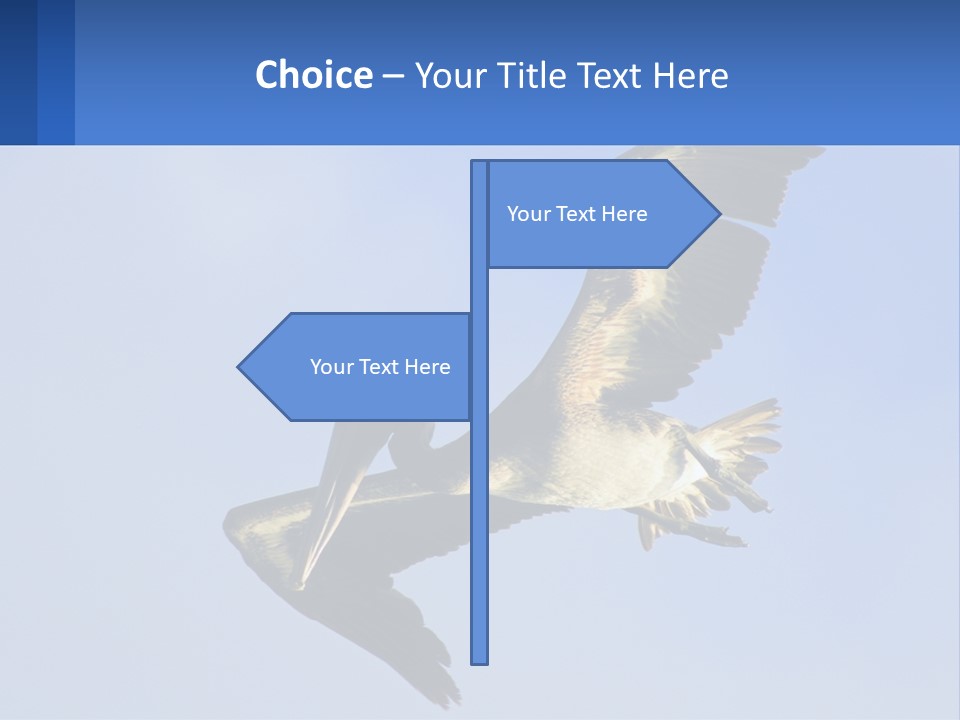 A Pelican Flying Through The Air With A Blue Sky In The Background PowerPoint Template
