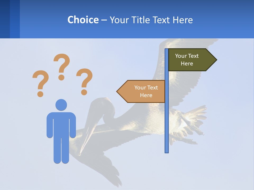 A Pelican Flying Through The Air With A Blue Sky In The Background PowerPoint Template