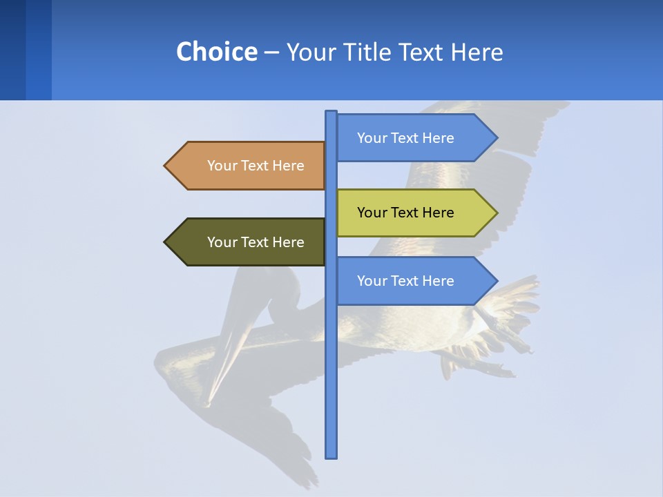A Pelican Flying Through The Air With A Blue Sky In The Background PowerPoint Template