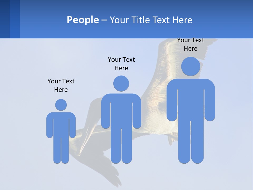 A Pelican Flying Through The Air With A Blue Sky In The Background PowerPoint Template