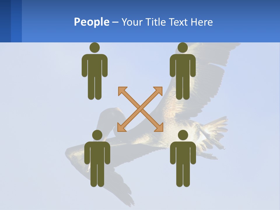 A Pelican Flying Through The Air With A Blue Sky In The Background PowerPoint Template