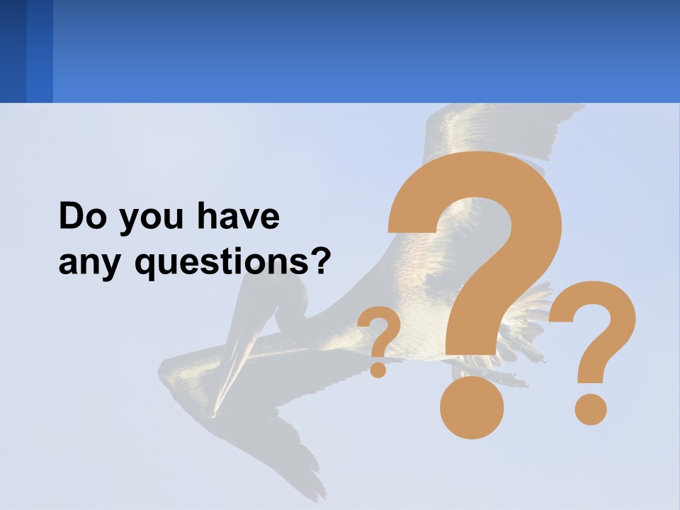 A Pelican Flying Through The Air With A Blue Sky In The Background PowerPoint Template