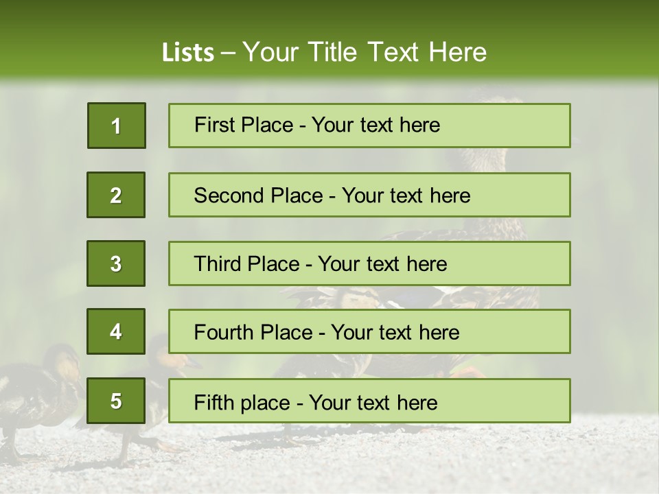 A Mother Duck With Her Ducklings Powerpoint Template PowerPoint Template