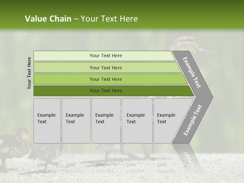 A Mother Duck With Her Ducklings Powerpoint Template PowerPoint Template