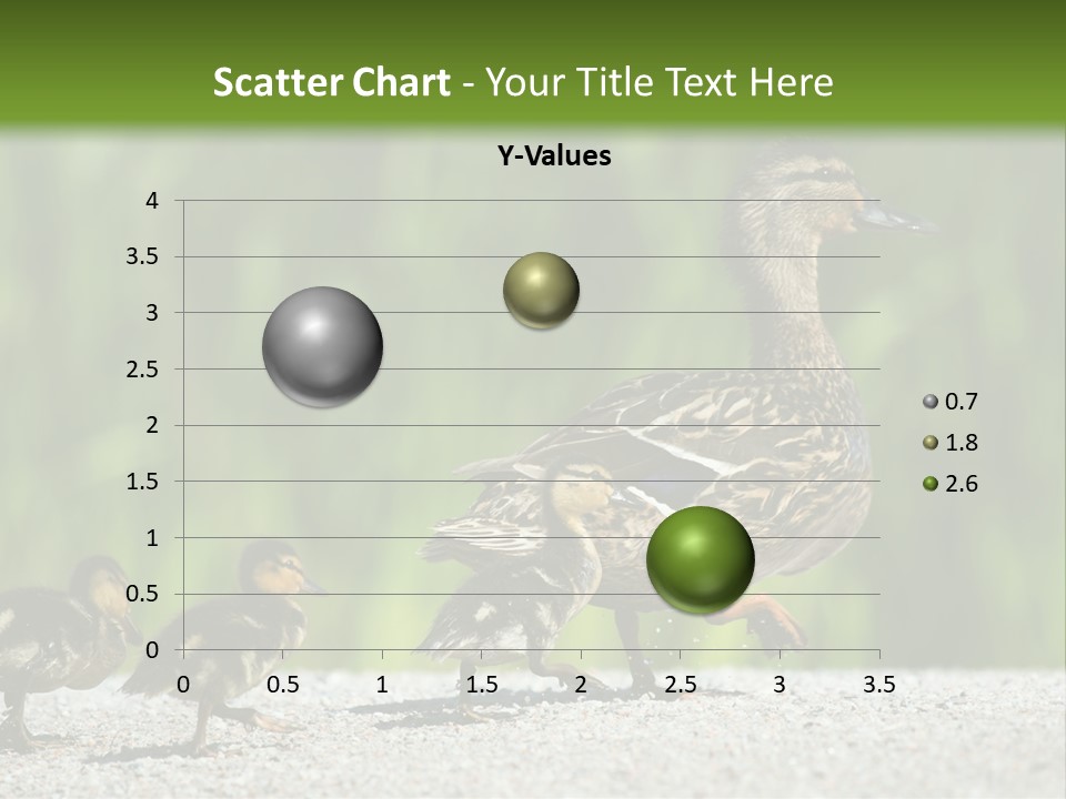 A Mother Duck With Her Ducklings Powerpoint Template PowerPoint Template