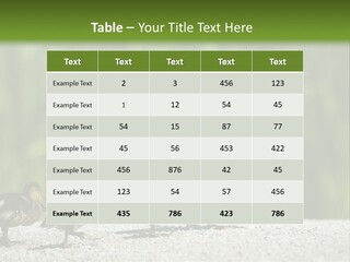 A Mother Duck With Her Ducklings Powerpoint Template PowerPoint Template