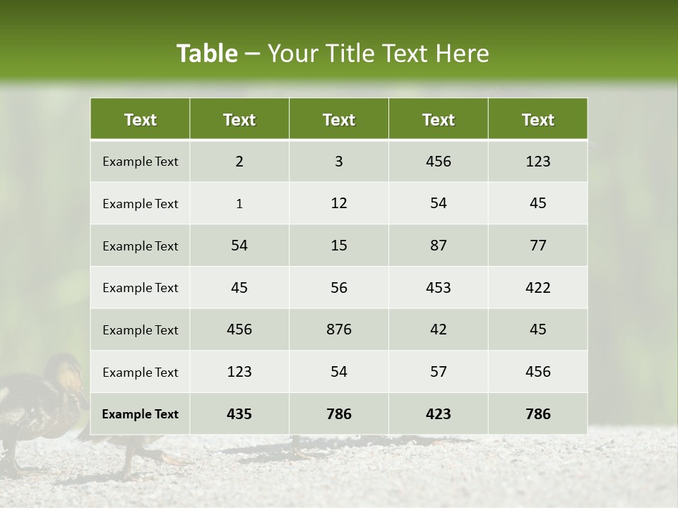 A Mother Duck With Her Ducklings Powerpoint Template PowerPoint Template