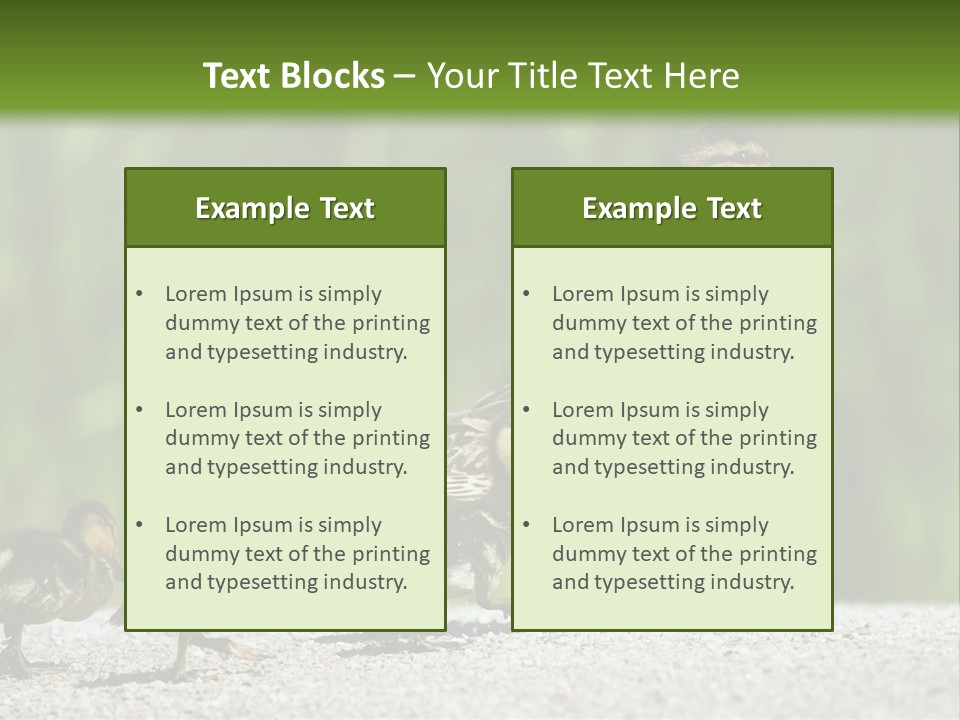 A Mother Duck With Her Ducklings Powerpoint Template PowerPoint Template