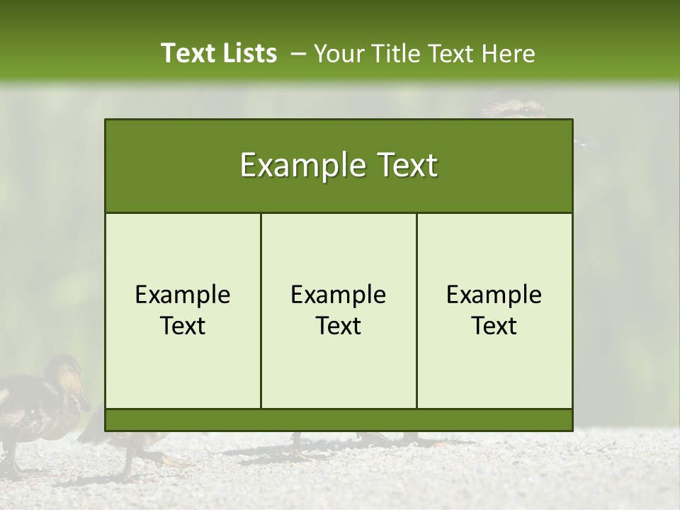 A Mother Duck With Her Ducklings Powerpoint Template PowerPoint Template