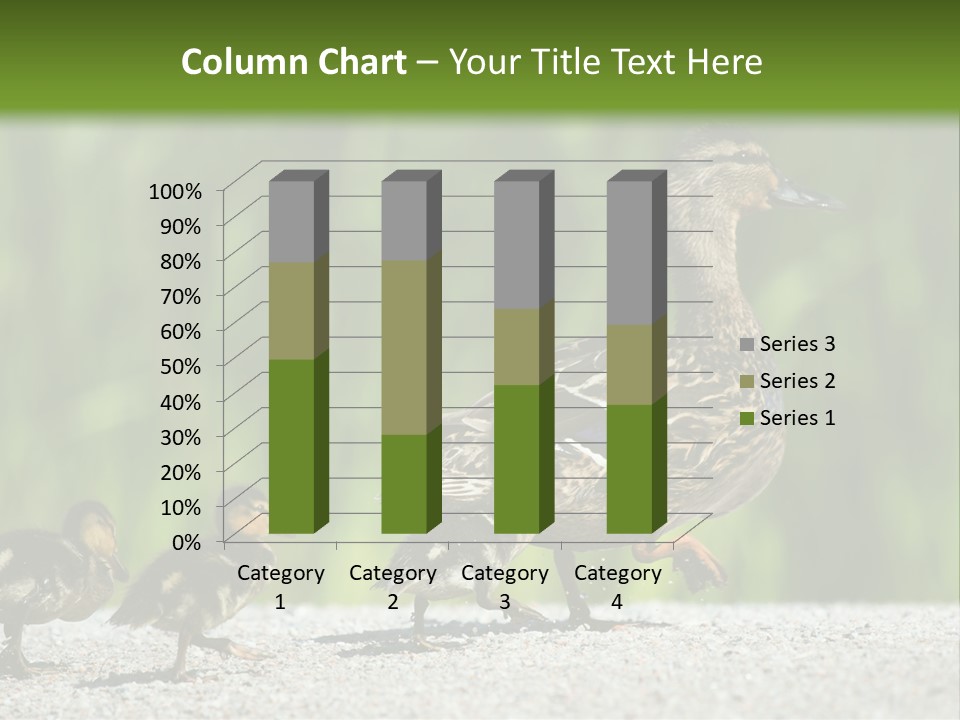 A Mother Duck With Her Ducklings Powerpoint Template PowerPoint Template