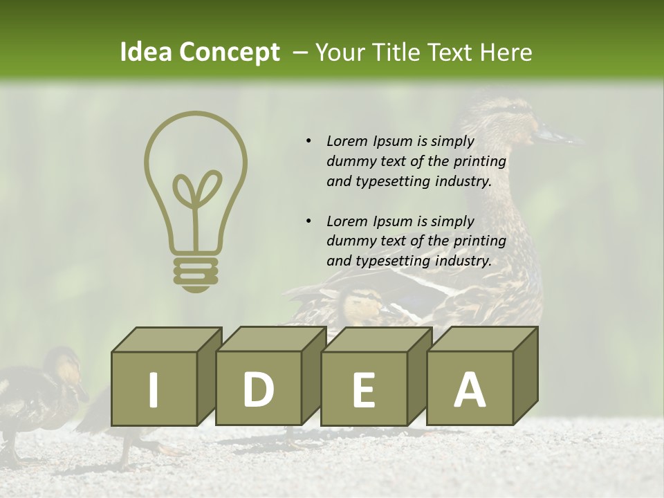 A Mother Duck With Her Ducklings Powerpoint Template PowerPoint Template