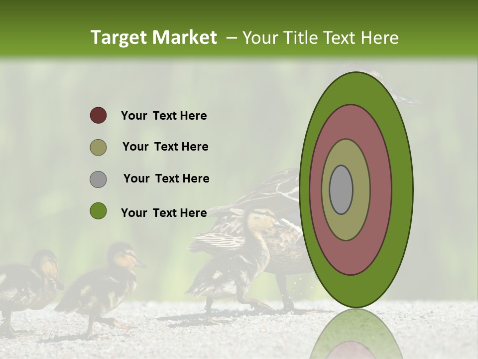 A Mother Duck With Her Ducklings Powerpoint Template PowerPoint Template